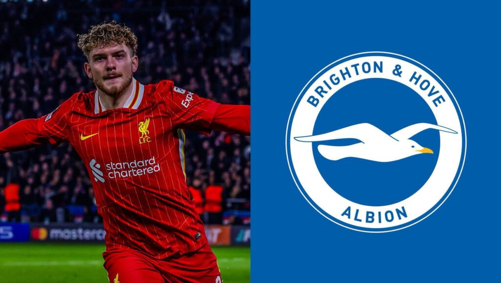 Brighton Preparing Stunner £40m Bid for Liverpool's Harvey Elliott